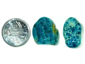 Blue Apatite - Tumbled