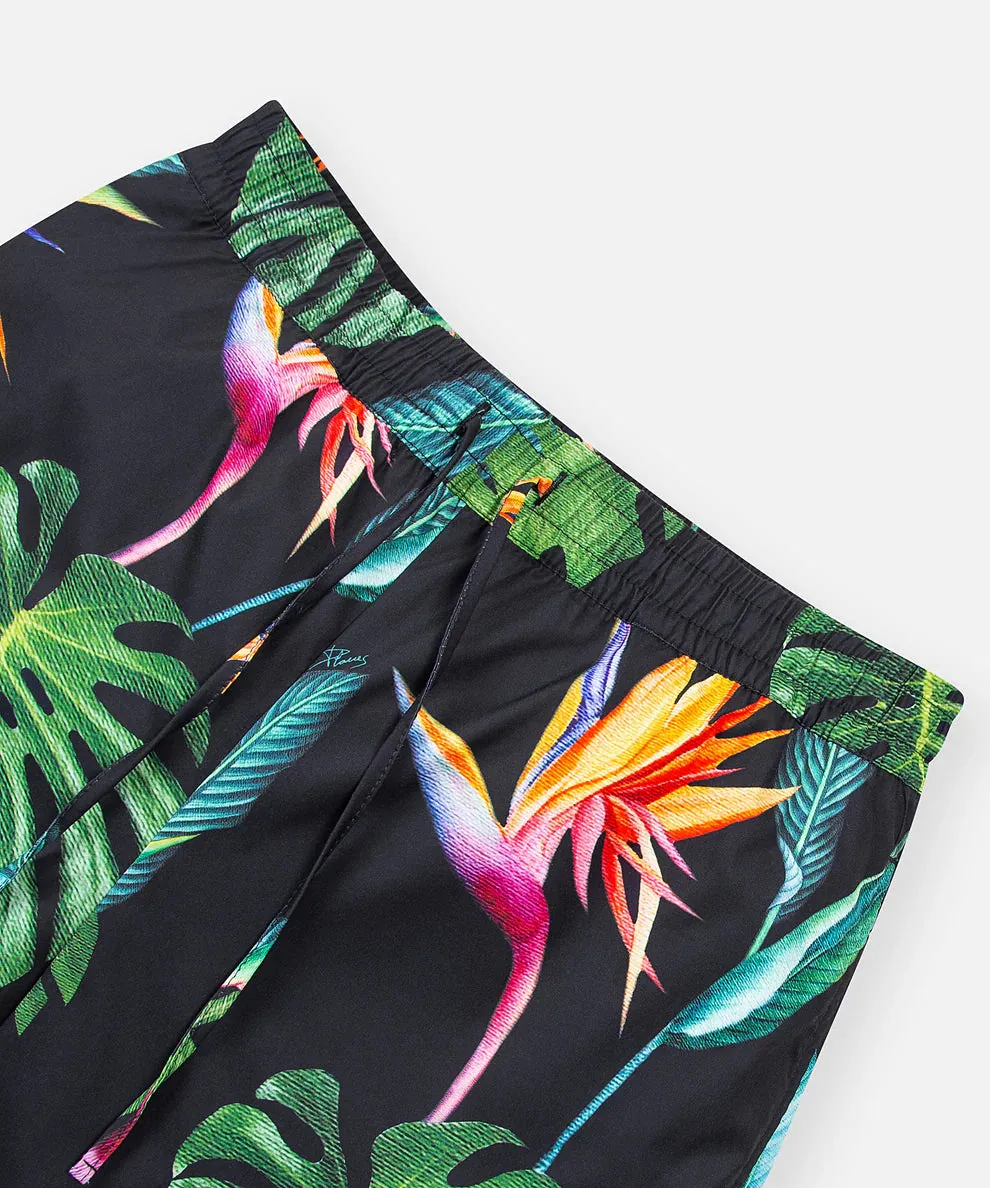 Paper Planes Birds of Paradise Short