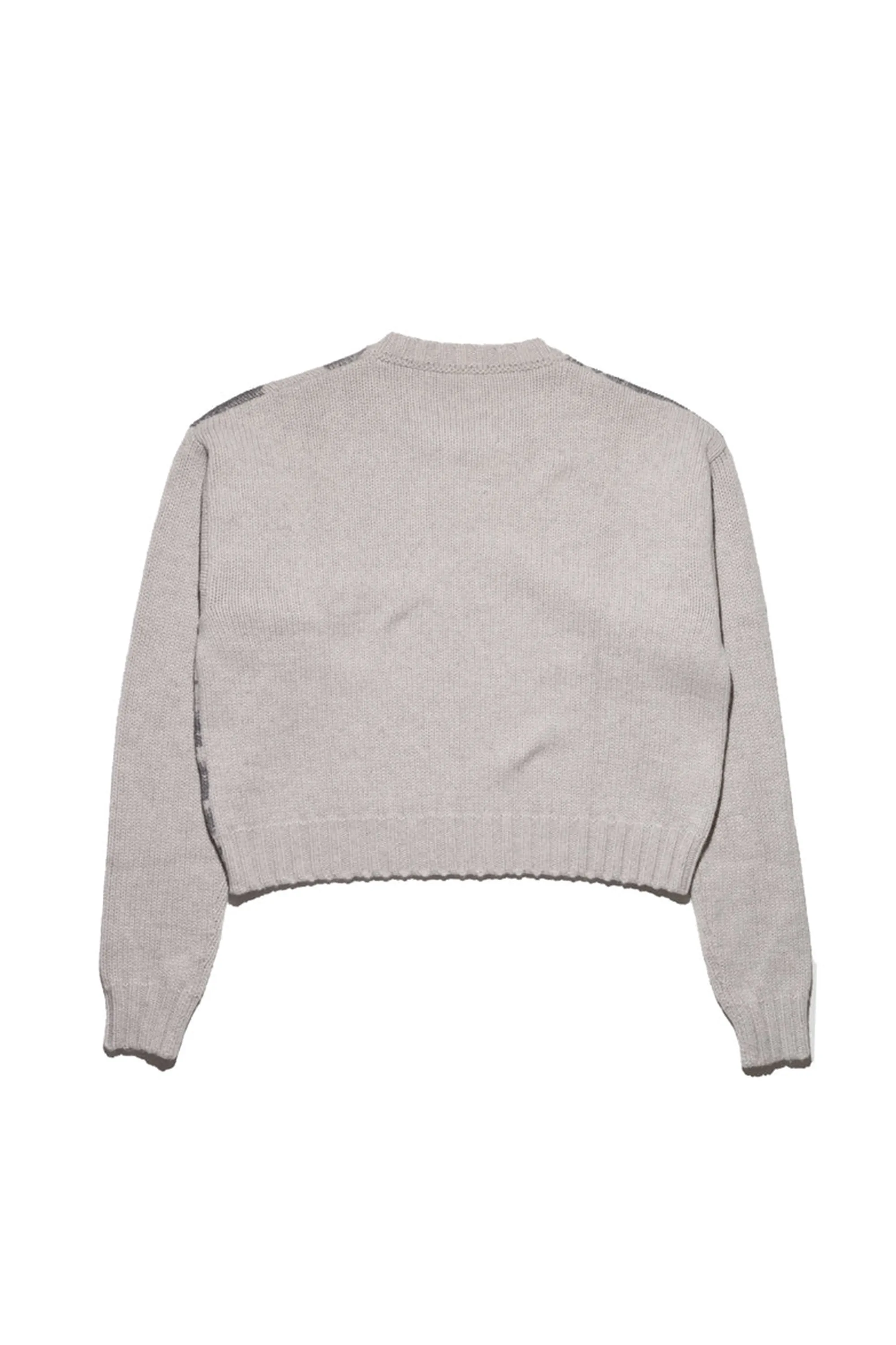 PAST IN VAIN CREWNECK SWEATER