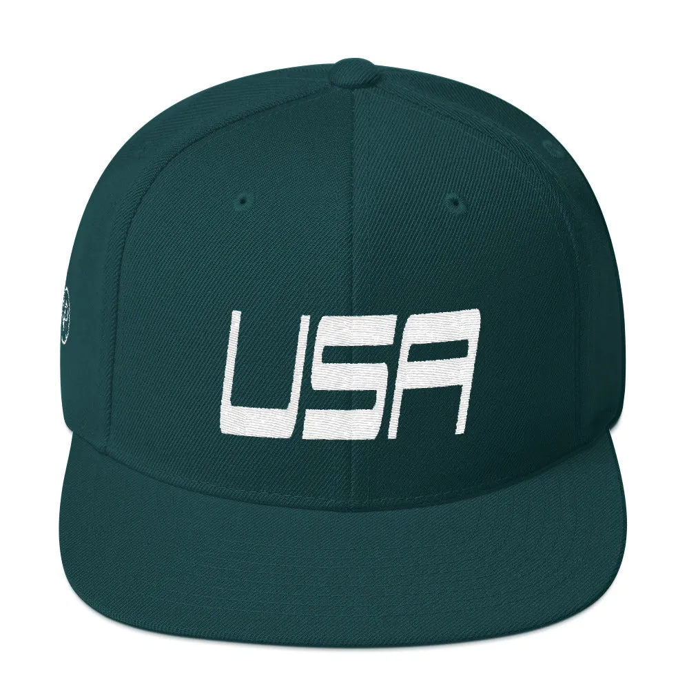 USA Designs - Embroidered Flat Brim, Snapback Hat - USA